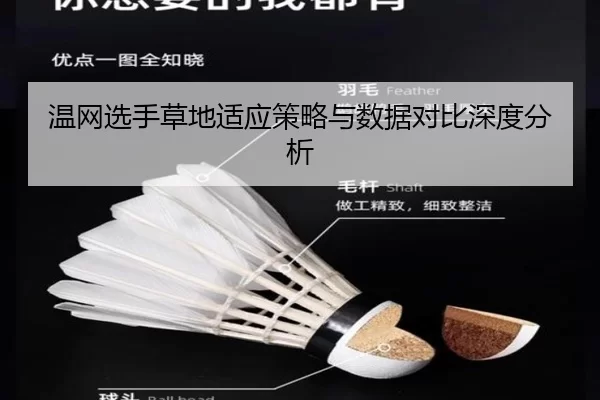 温网选手草地适应策略与数据对比深度分析